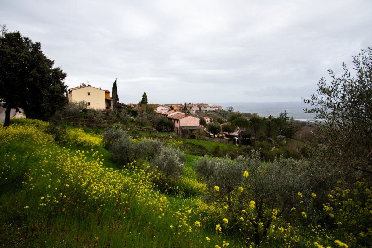 Cammino Dei Borghi Silenti Marco Gentili Blog Gentilimarco